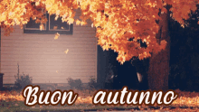 Ottobre Autunno Felice Autunno Buon Autunno Albero Foglie GIF - October Autumn Happy Autumn GIFs