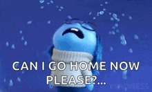 a blue stuffed animal is crying and asking can i go home now please .