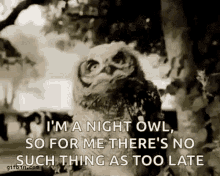 Night Owl Dancing GIF - Night Owl Dancing For Me Theres No Such Thing As Too Late GIFs