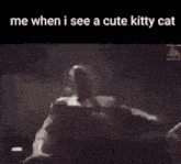 Me When I See A Cute Kitty Cat Cat Meme GIF - Me When I See A Cute Kitty Cat Cat Meme Oraacat GIFs