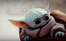 Baby Yoda Cute GIF - Baby Yoda Cute Wind GIFs
