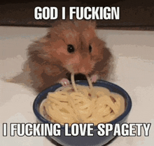 Hampster Hamster Meme GIF - Hampster Hamster Meme Spaghetti GIFs