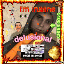 a poster that says i 'm insane and delusional