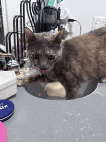 a cat is sticking its tongue out while laying on a counter