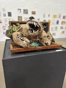 a sculpture of a dog with its mouth open is on display in a museum