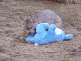 a stuffed animal is laying on the ground with a rabbit