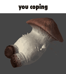 you coping cope coping mushroom copium