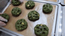 a bunch of green cookies on a tray with the words made in animatica at the bottom