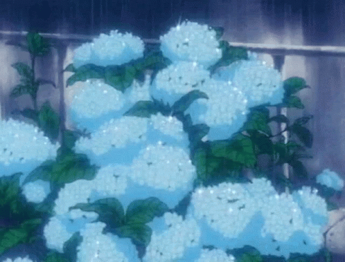 GIF descoberto por  Descubra e salve suas próprias imagens e  vídeos no We Heart It  Anime flower Anime scenery Anime cherry blossom