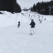 Ski Skiing GIF