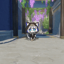 a cat with a hood and blue eyes is walking down a path