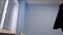 a person is standing in front of a window in a room with blue walls
