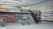 Funny Animals Shopping Cats GIF - Funny Animals Shopping Cats The Last One GIFs