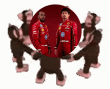 a group of monkeys are standing around a man in a red ferrari outfit