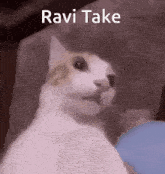 Ravi Take Baka Banter GIF - Ravi Take Baka Banter Baka Banter Ravi GIFs