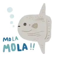 a drawing of a fish with the words mola mola on the bottom