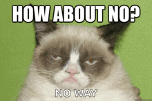 Grumpy Cat Meme GIF