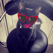 Blackcat Cutecat GIF