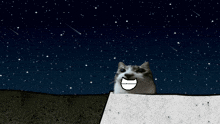 a cat is smiling in front of a picture of water splashing
