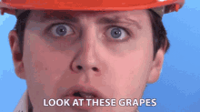 Look At These Grapes Fruit GIF - Look At These Grapes Fruit Check This Out GIFs