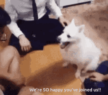 Happy You Joined Us Dog GIF - Happy You Joined Us Dog Cute GIFs