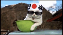 Hello GIF - Cat Bowl Japan GIFs