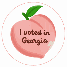 i voted in georgia go vote go vote georgia i voted vote