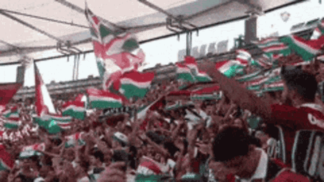 Fluminense Torcida GIF - Fluminense Torcida Fluzão - Discover & Share GIFs
