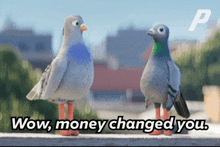 Money Changed You Pigeons GIF