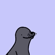 Seal Gay GIF - Seal Gay Gaaaaay GIFs
