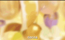 Cocoa Cookie Cocoa GIF
