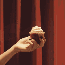 Have A Cupcake Like Pacific GIF - Have A Cupcake Like Pacific Ketamine Jesus Song GIFs
