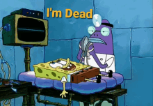 im dead spongebob squarepants spongebob doctor dead
