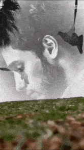 a black and white photo of a man 's face with birds flying around him