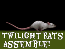 Twilight Rats Twilight Sewerposting GIF