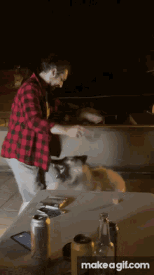 Doggo Beal GIF - Doggo Beal Dance GIFs