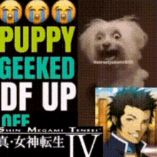 a poster that says puppy geeked df up off with a picture of a dog