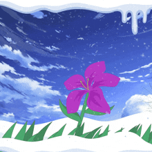 a purple flower is standing in the snow with a blue sky in the background