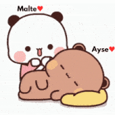 a couple of bears with the names malte and ayse written on them