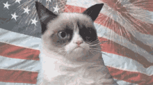 Grumpy Cat GIF - Grumpy Cat Grumpycatthepresident GIFs