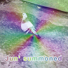 Jun Ping Birb GIF - Jun Ping Birb Walking Pigeon GIFs
