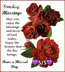 Sunday Blessings Have A Blessed Day GIF - Sunday Blessings Have A Blessed Day Roses GIFs