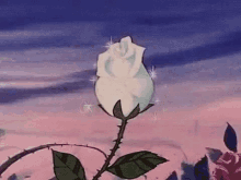 White Rose Bloomin GIF - White Rose Bloomin Anime GIFs