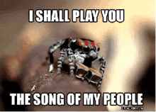Song Of My People Spider GIF - Song Of My People Spider GIFs
