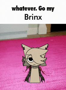 a cartoon drawing of a cat with the words whatever go my brinx