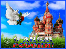 россия голубь GIF - россия голубь GIFs