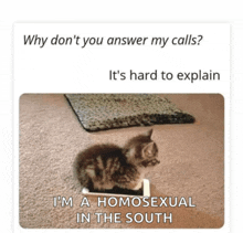 a kitten is sitting on a phone with the caption why don t you answer my calls