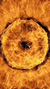a circle of fire with a hole in the middle of it .