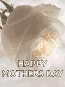 Happy Mothers Day Sparkles GIF - Happy Mothers Day Sparkles Flowers GIFs