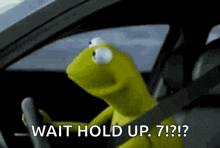 kermit the frog is sitting in the driver 's seat of a car and says `` wait hold up ? ''
